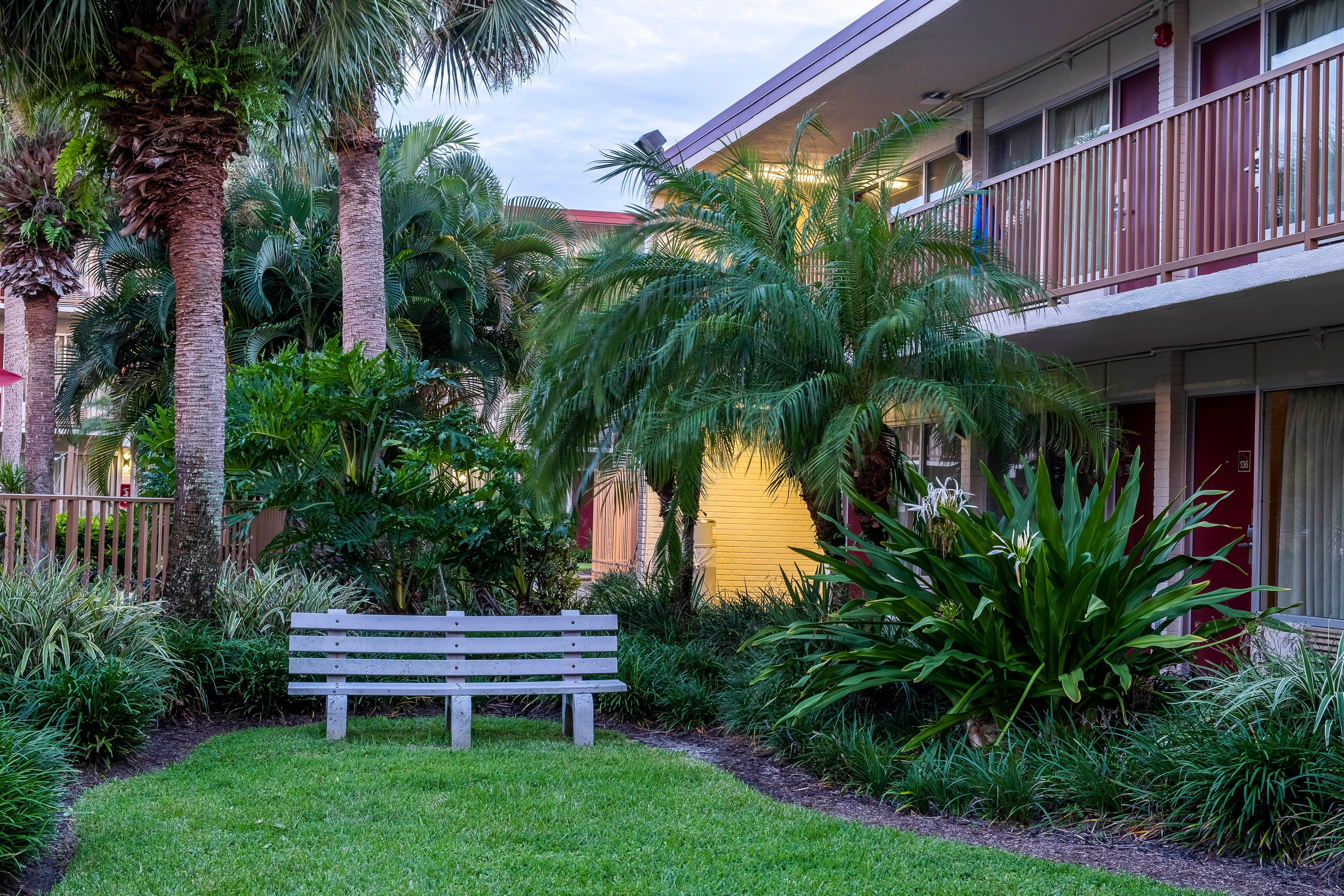Red Roof Inn Plus+ & Suites Naples Downtown-5Th Ave S מראה חיצוני תמונה